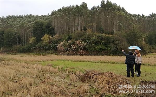 保定市陈老师带着爱徒寻龙点穴